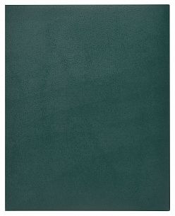 Тетрадь 96 листов INFORMAT А5+ в клетку, обложка бумвинил, на скрепке, зеленая