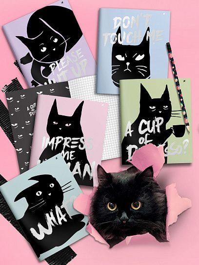 Тетрадь 80 л. А5 клетка, на скрепке, офсет LOREX WAYWARD CAT мелованный картон, запечатка форзаца, soft touch