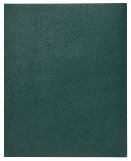 Тетрадь 96 листов INFORMAT А5+ в клетку, обложка бумвинил, на скрепке, зеленая