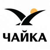 Чайка