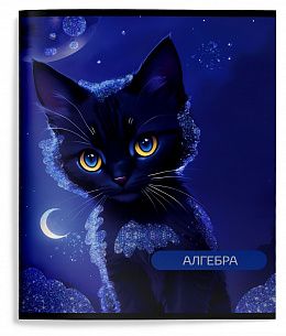 Тетрадь 48 л. А5 клетка, на скрепке, Schoolformat КОСМОКОТИК Алгебра мелованный картон, запечатка форзаца, глиттер