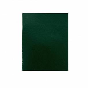 Тетрадь 96 листов LITE А5 в клетку, обложка из бумвинила, на скрепке, зеленая