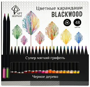 Набор цветных карандашей АРТформат Blackwood 48 цветов, трехгранный деревянный корпус