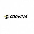 Corvina