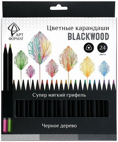 Набор цветных карандашей АРТформат Blackwood 24 цветов, трехгранный деревянный корпус