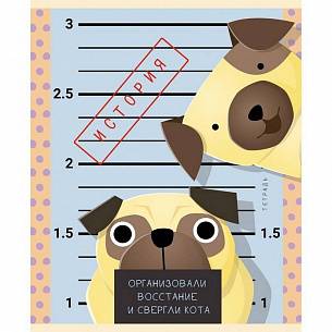 Тетрадь 48 л. А5 клетка, на скрепке, Unnika ПУШИСТЫЕ ХУЛИГАНЫ История мелованный картон, твин-лак, фольга