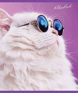 Тетрадь 48 л., А5, клетка, БАЗИЛ, мелованный картон, тиснение фольгой, конгрев, твин-лак