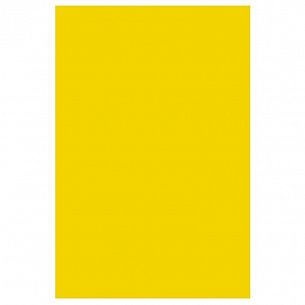 Бумага цветная тонированная ЯРКО-ЖЕЛТЫЙ А4, 1 цвет 10 листов
