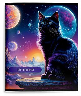 Тетрадь 48 л. А5 клетка, на скрепке, Schoolformat КОСМОКОТИК История мелованный картон, запечатка форзаца, глиттер