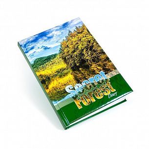 Ежедневник недатированный, А5, информационный блок, 166 л., ЛЕС, твердая обложка с поролоном, ляссе