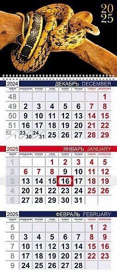 Календарь настенный квартальный 2025г. Хатбер ЭКОНОМ ГОД ЗМЕИ 298х690 мм 3 блока, 1 гребень