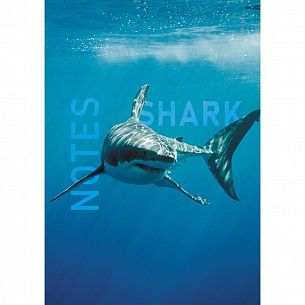 Книжка записная А5 145 х 206 80 листов клетка Shark интегральная обложка глянцевая ламинация